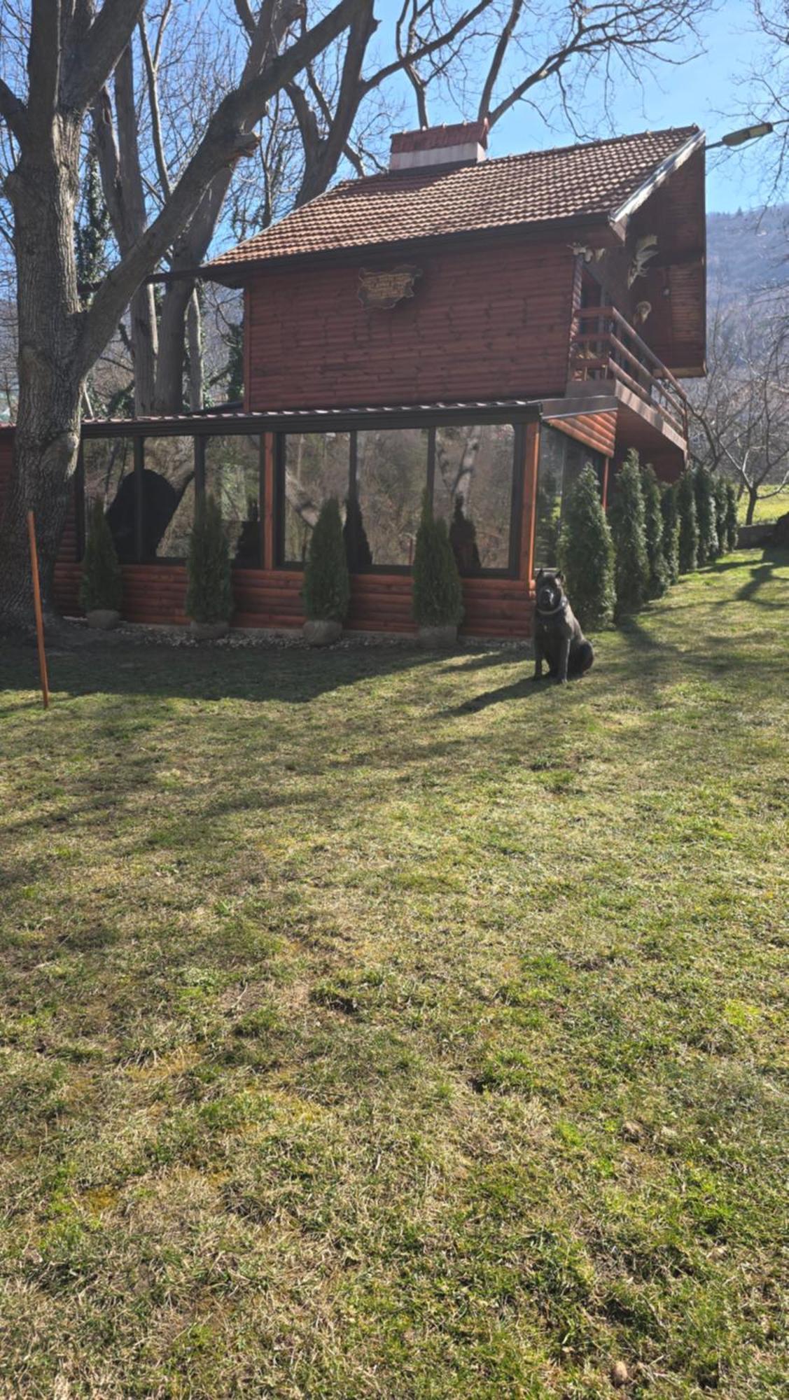 Вила Орехите Dupnitsa Exterior photo